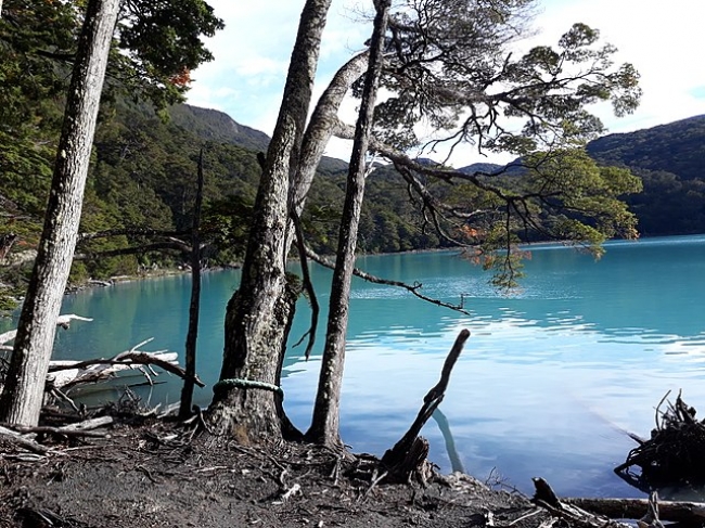 Ushuaia + Calafate de Verano ♥