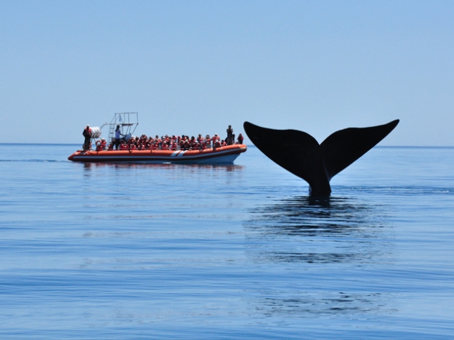 Elegi Puerto Madryn ♥ Abril y Mayo