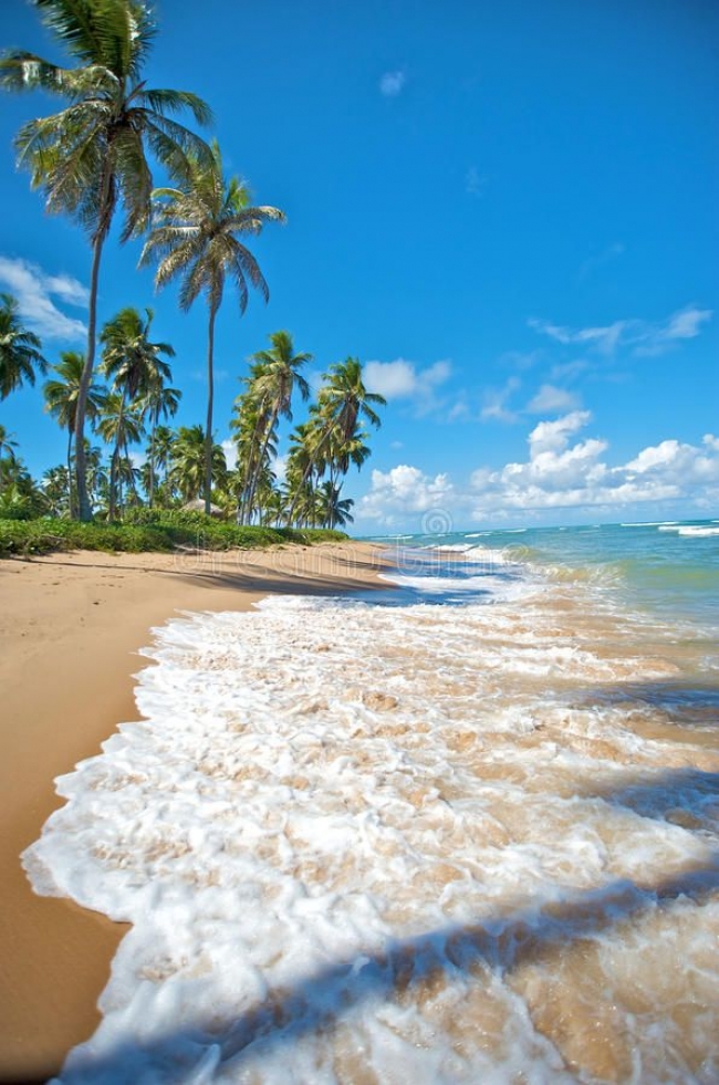 PRAIA DO FORTE EN MARZO