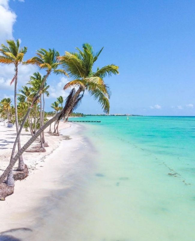 DISFRUTA PUNTA CANA EN FEBRERO!