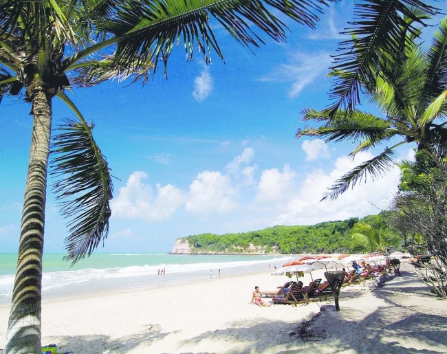 PIPA PROMO ESPECIAL!