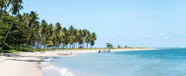 IMBASSAI - SALIDA EN ENERO